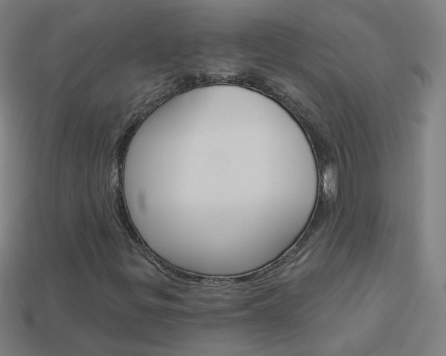 X0000114161299200910081125