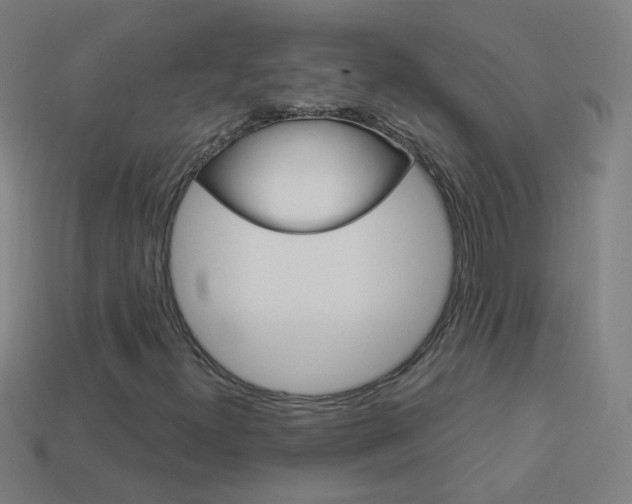 X0000114161300200910081125
