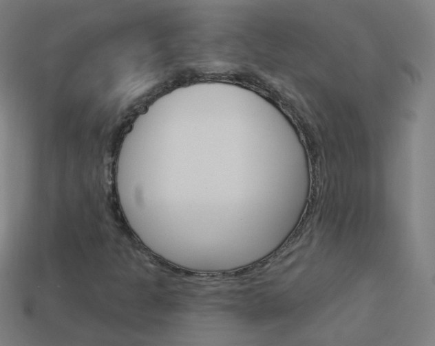 X0000114161301200910081125