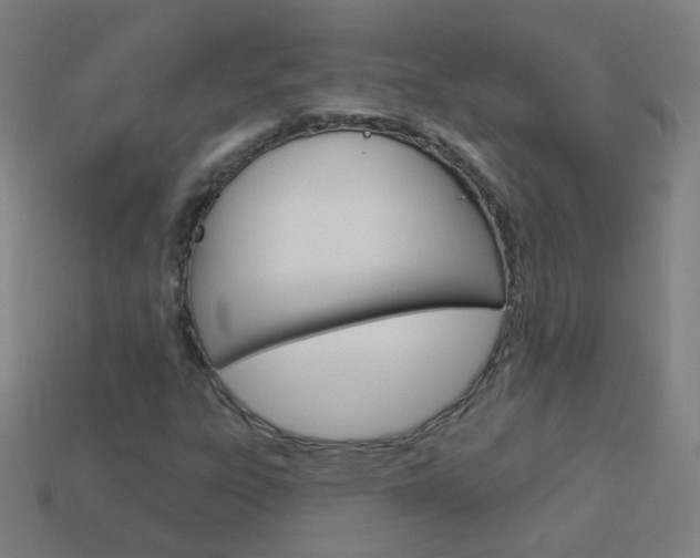 X0000114161303200910081125