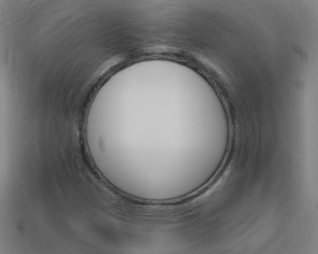X0000114161305200910081125