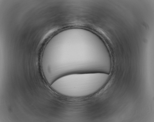 X0000114161307200910081125