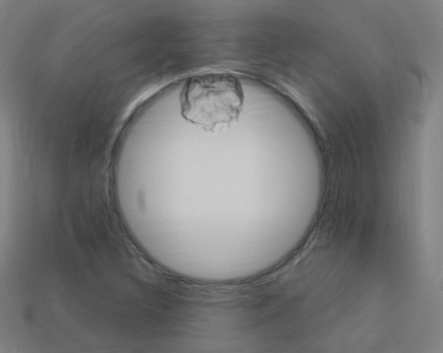X0000114161308200910081125