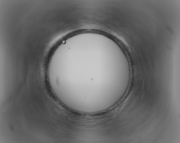X0000114161311200910081125