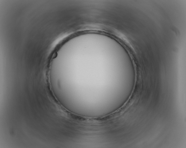 X0000114161312200910081125