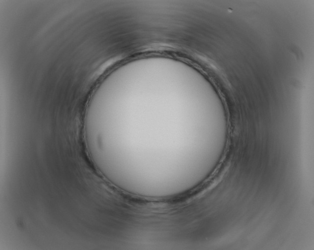 X0000114161313200910081125