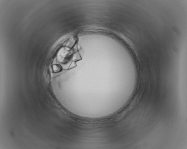X0000114161314200910081125