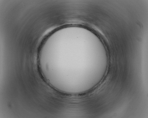 X0000114161315200910081125