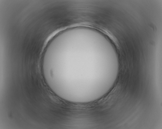 X0000114161316200910081125