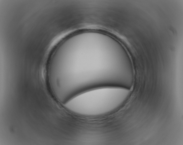 X0000114161319200910081125