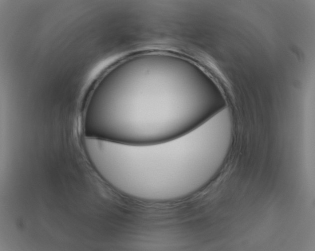 X0000114161320200910081125