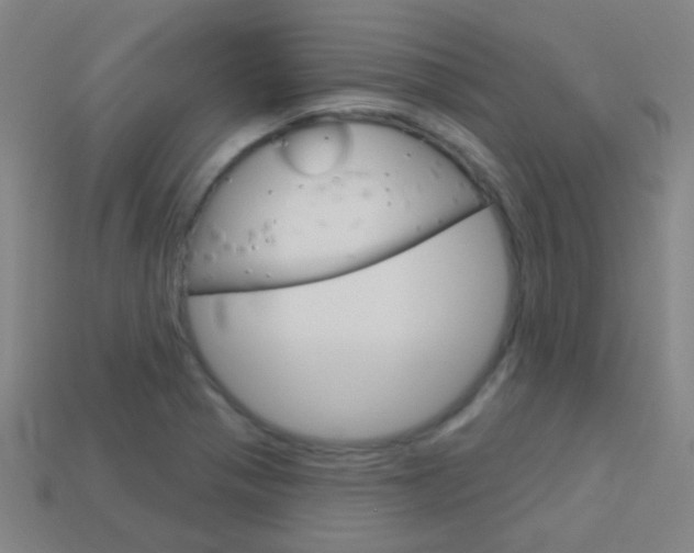 X0000114161321200910081125