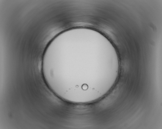 X0000114161322200910081125