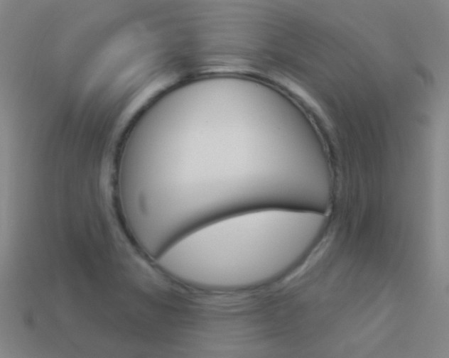 X0000114161325200910081125