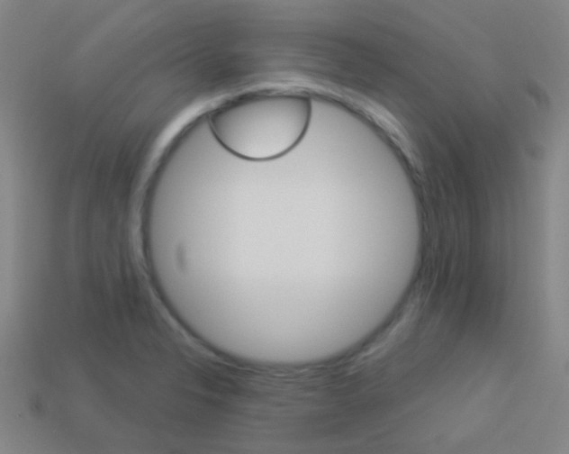 X0000114161326200910081125