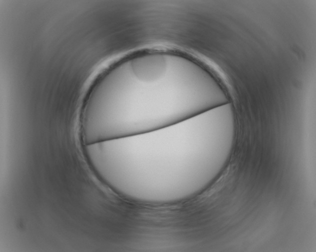 X0000114161327200910081125