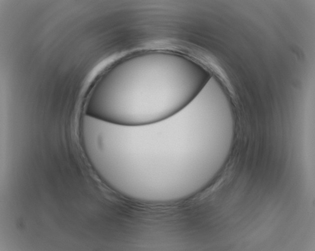 X0000114161328200910081125