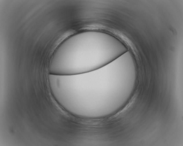 X0000114161329200910081125