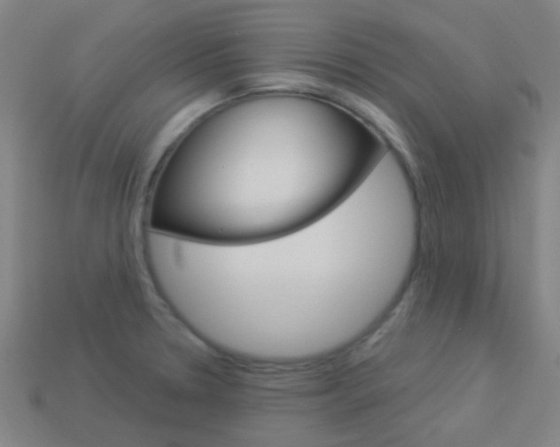 X0000114161330200910081125