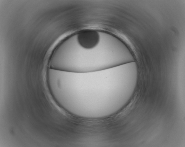 X0000114161331200910081125