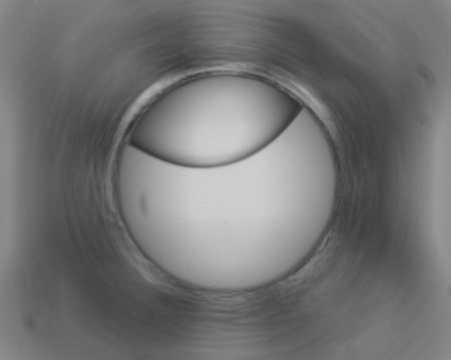 X0000114161332200910081125