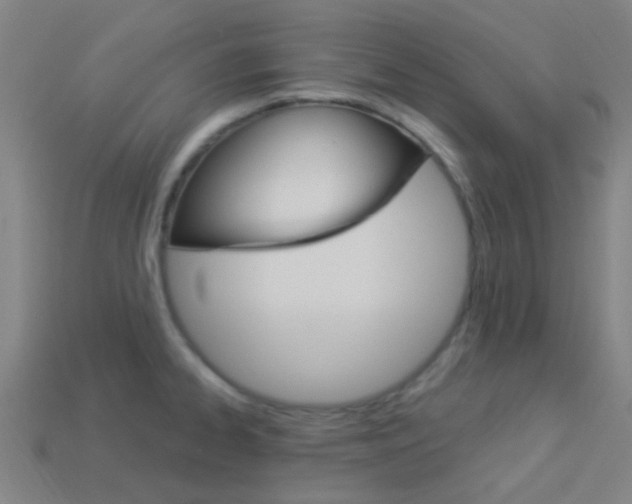 X0000114161334200910081125