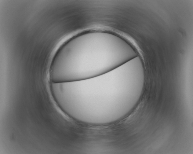 X0000114161335200910081125
