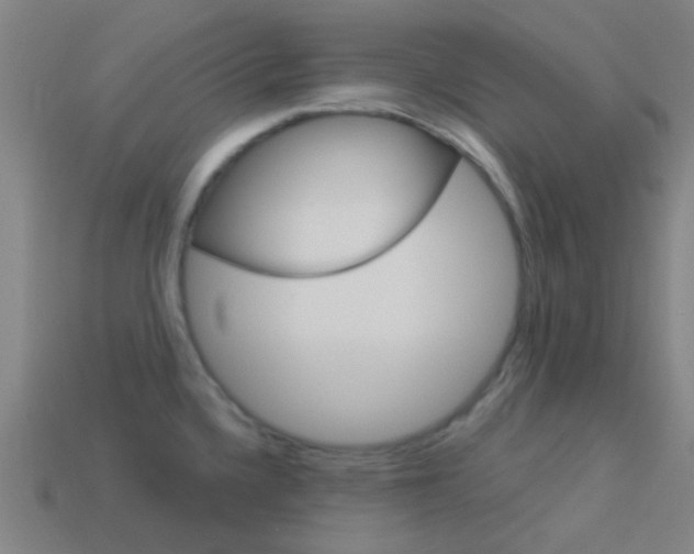 X0000114161336200910081125