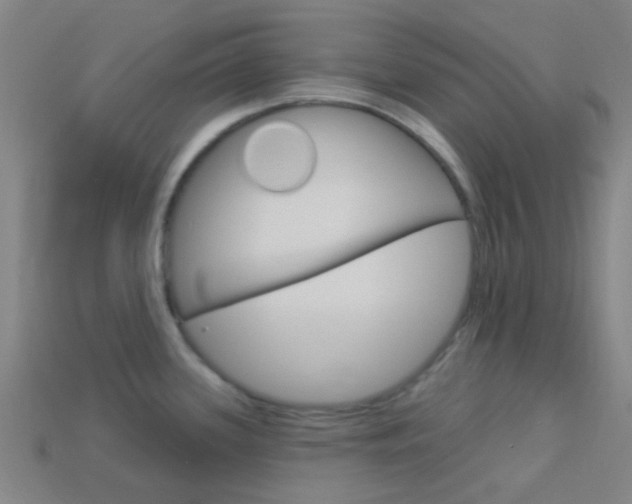 X0000114161339200910081126