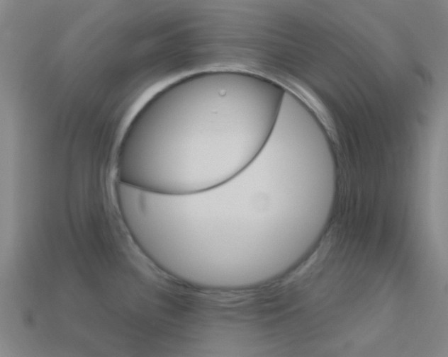 X0000114161340200910081126