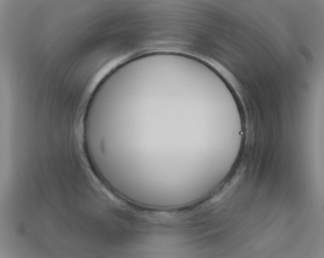 X0000114161341200910081126