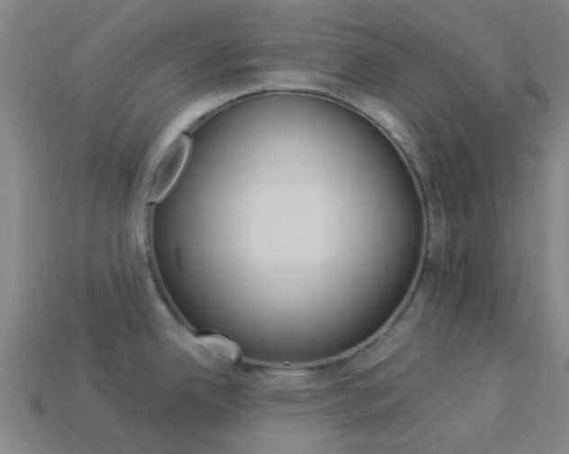 X0000114161342200910081126