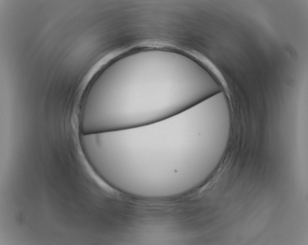 X0000114161343200910081126