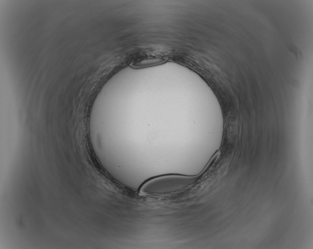 X0000114161345200910081125