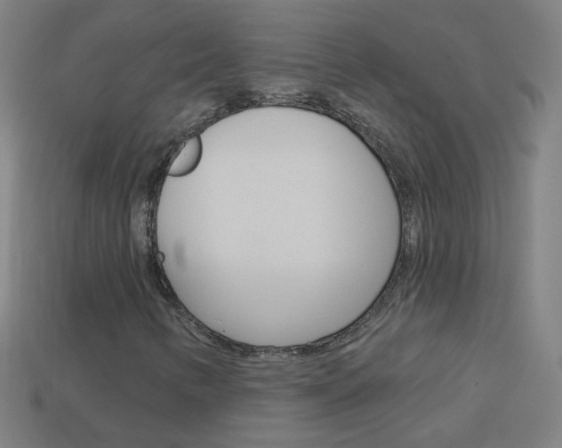 X0000114161346200910081125