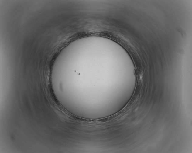 X0000114161348200910081125