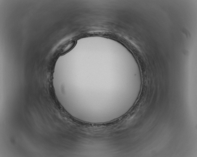 X0000114161351200910081125
