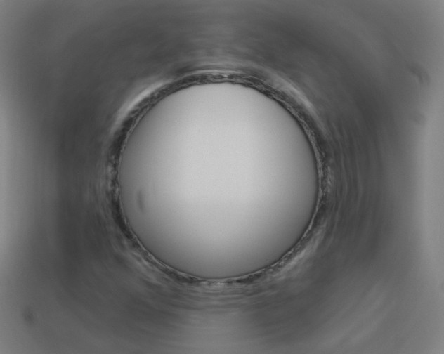X0000114161352200910081125