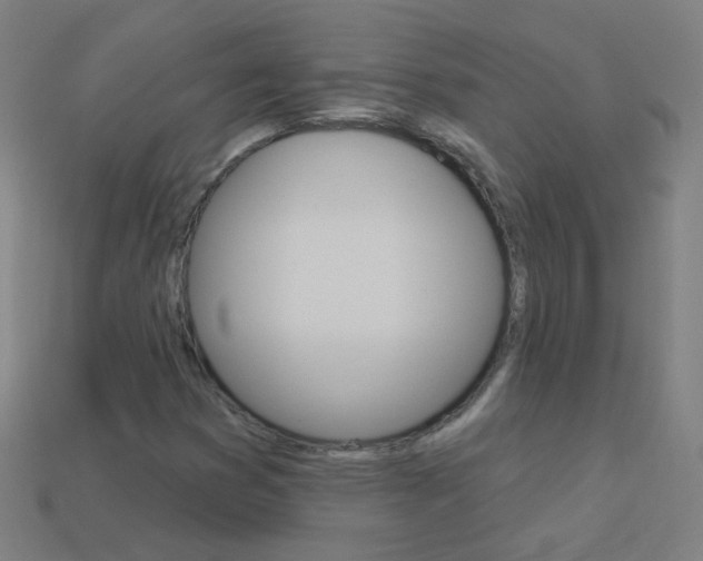 X0000114161353200910081125