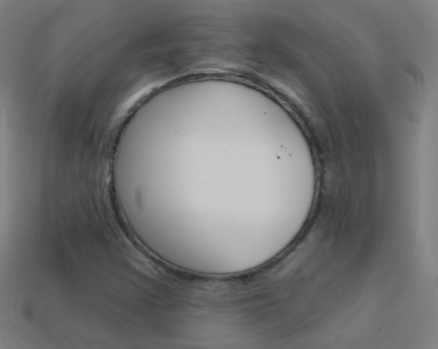 X0000114161355200910081125