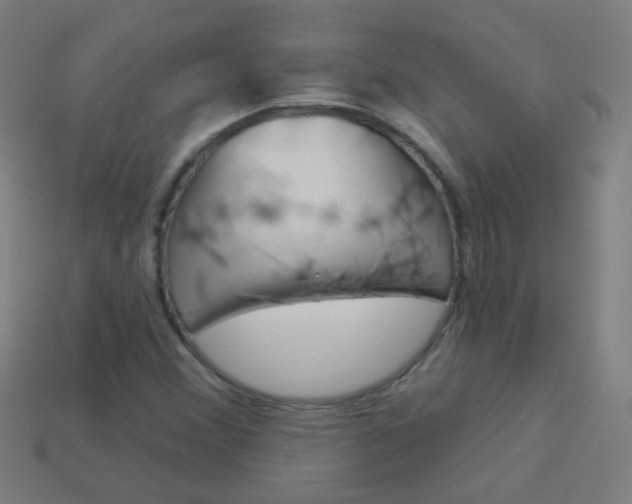 X0000114161356200910081125
