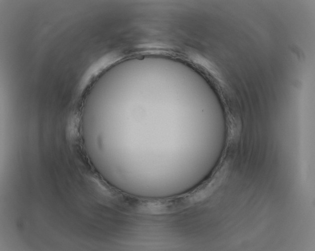 X0000114161357200910081125