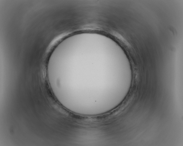 X0000114161358200910081125