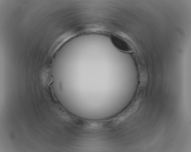 X0000114161361200910081125