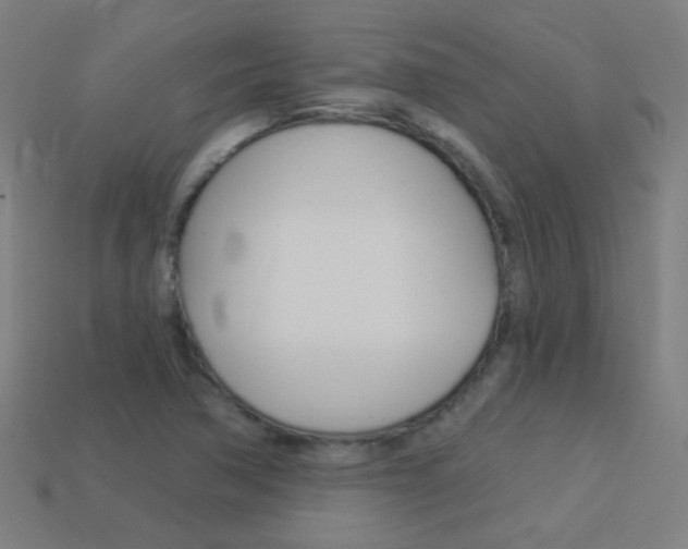 X0000114161362200910081125