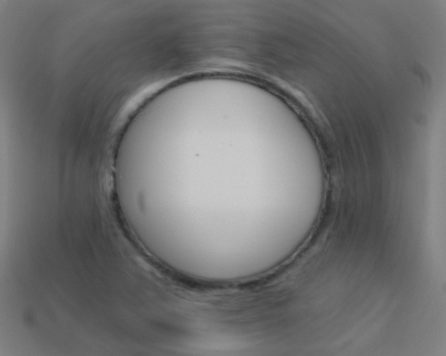 X0000114161363200910081125