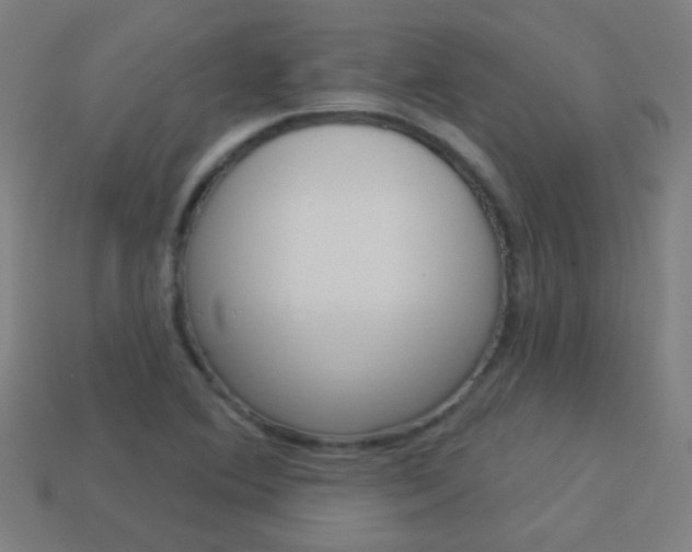 X0000114161364200910081125
