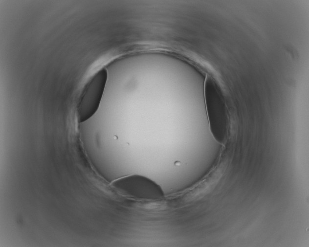 X0000114161365200910081125