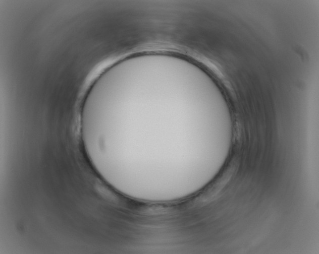 X0000114161366200910081125