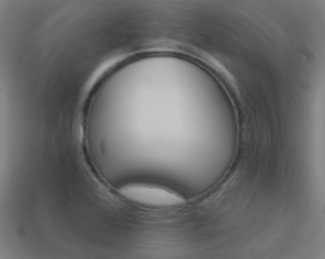 X0000114161368200910081125